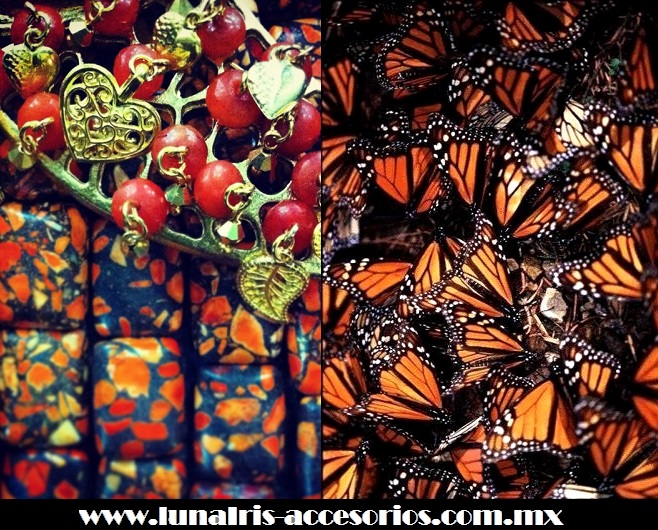 Mariposa monarca, ícono de inspiración